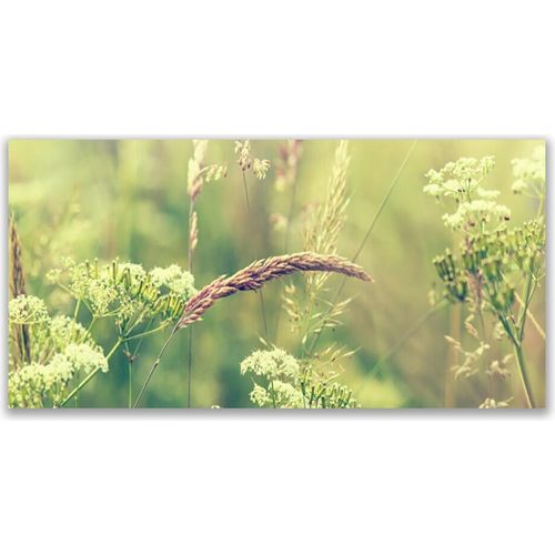 Küchenrückwand aus Glas 140x70cm Spritzschutz Wildpflanzen Pflanzen