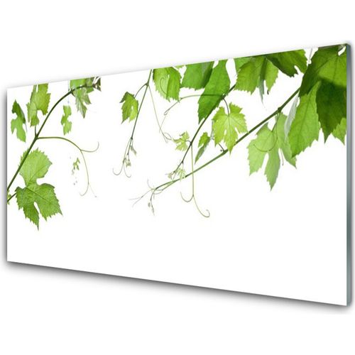 Küchenrückwand aus Glas 100x50cm Spritzschutz Zweige Blätter Pflanzen
