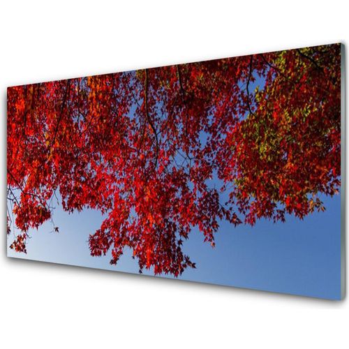 Küchenrückwand aus Glas 100x50cm Spritzschutz Zweige Blätter Pflanzen