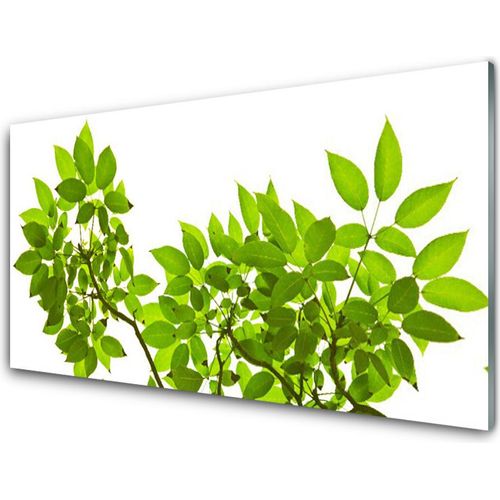 Küchenrückwand aus Glas 100x50cm Spritzschutz Zweige Blätter Pflanzen