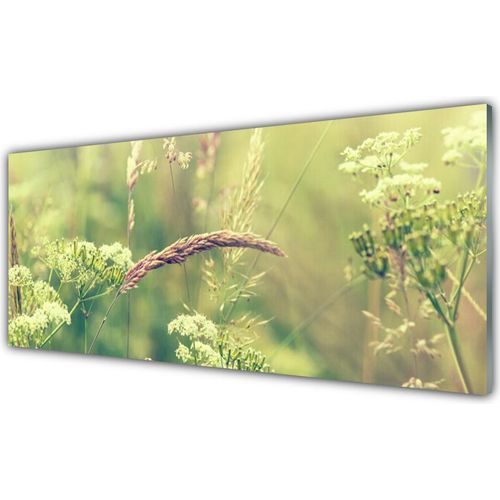 Küchenrückwand aus Glas 125x50cm Spritzschutz Wildpflanzen Pflanzen