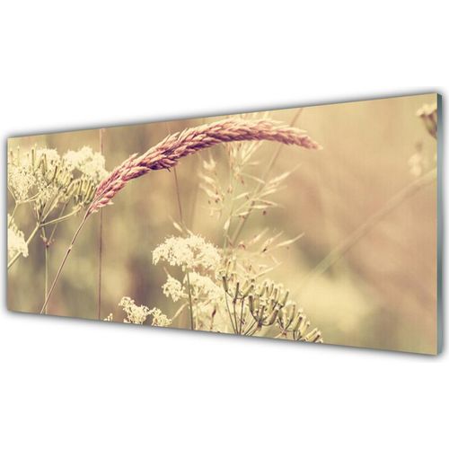 Küchenrückwand aus Glas 125x50cm Spritzschutz Wildpflanzen Pflanzen