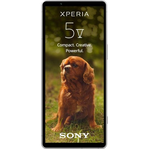 Xperia 5 V 5G 128GB Silber Smartphone