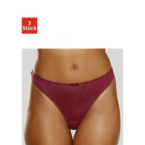 String PETITE FLEUR Gr. 40/42, rot (weiß, rosé, brombeer), Damen, Microfaser, Spitze, Obermaterial: 96% Polyamid, 4% Elasthan, Unterhosen, mit Spitze hinten