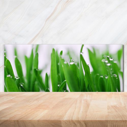 Tulup® Küchenrückwand Spritzschutz aus Glas -125x50 -Spritzschutz auf gehärtetes Glas Deko Blumen & Pflanzen Grashalme