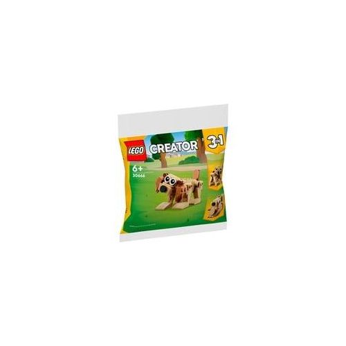 30666 Creator 3-in-1 Geschenkset mit Tieren, Konstruktionsspielzeug Polybag