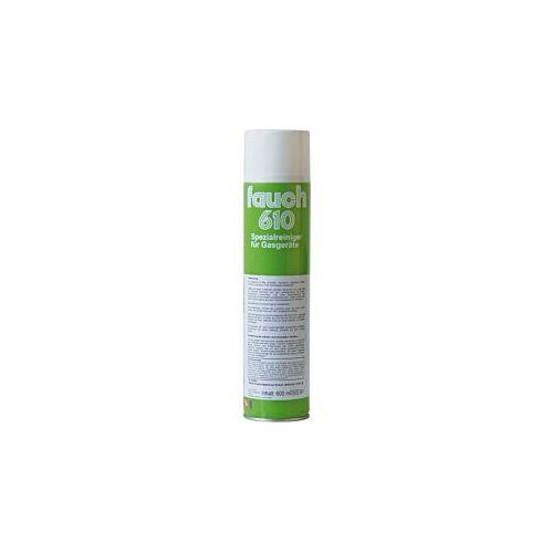 Sanit Fauch 610 Spraydose 8060 600 ml