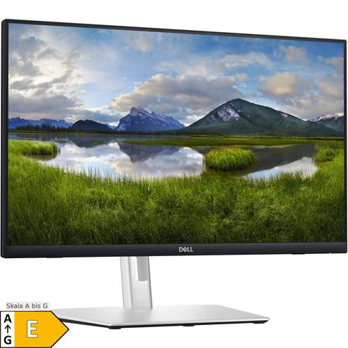 Dell LED-Monitor P2424HT