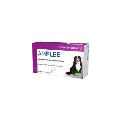 Amflee Spot-On (402 mg) Hund XL (40+ kg) 3 Pipetten