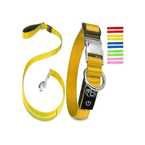 Petsation Leuchthalsband + Leine gelb S