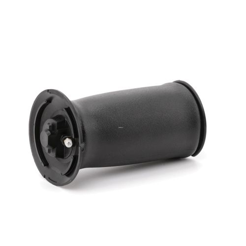 RIDEX Luftfeder, Fahrwerk BMW 4119A0028 37126765602,37126765603,6765602 6765603