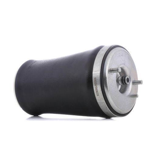 RIDEX Luftfeder, Fahrwerk BMW 4119A0012 1094614,1095082,37121094614 37121095082