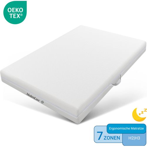 Flieks Matratze 160x200, Kaltschaummatratze mit Abnehmbarem Bezug, Schaumstoffmatratze Rollmatratze mit Anti-Rutsch-Partikel, H3&H2, Höhe 20cm, 7 Zonen Matratze