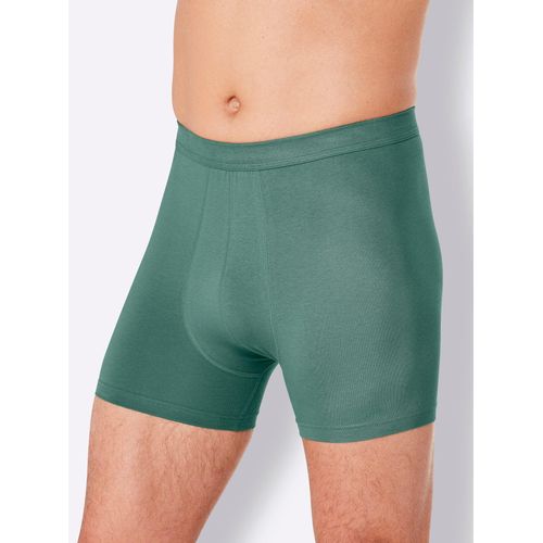 Panty COMTE, Herren, Gr. 6, grün (salbei), 95% Baumwolle, 5% Elasthan, Unterhosen