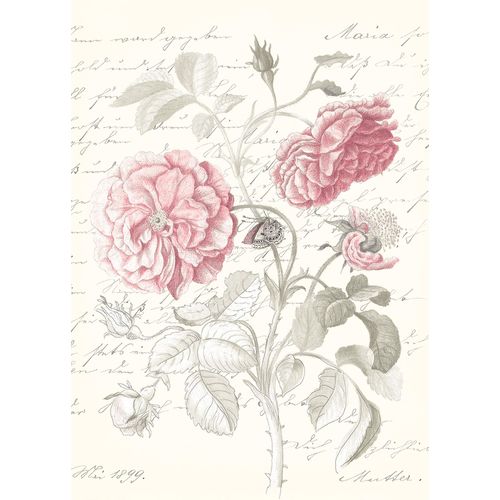 Komar Bild »Poème Rose«, Natur, (1 St.), Wandbild zur Dekoration - ohne Rahmen
