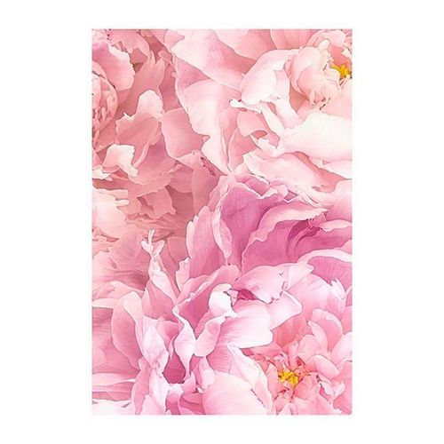 Komar Bild »Sauve«, Blumen, (1 St.), Wandbild zur Dekoration - ohne Rahmen