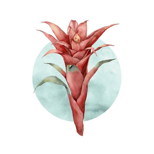 Komar Bild »Funky Flower«, Natur, (1 St.), Wandbild zur Dekoration - ohne Rahmen