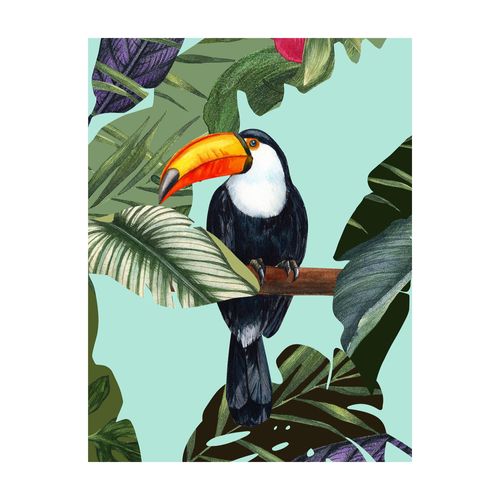 Komar Bild »Toco Toucan«, Natur, (1 St.), Wandbild zur Dekoration - ohne Rahmen
