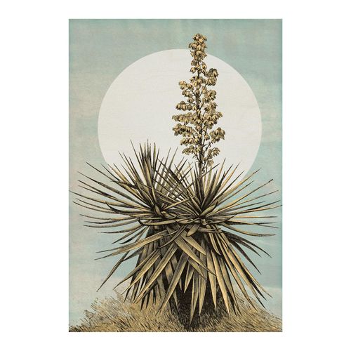 Komar Bild »Plans de Lagon«, Natur, (1 St.), Wandbild zur Dekoration - ohne Rahmen