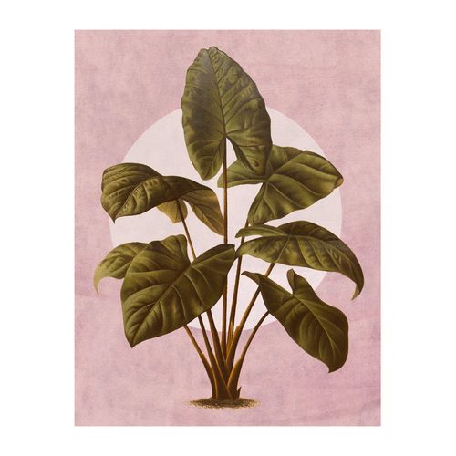 Komar Bild »Créatures Végétales«, Natur, (1 St.), Wandbild zur Dekoration - ohne Rahmen