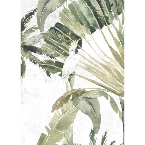 Komar Bild »Oiseau Cacadoo«, Natur, (1 St.), Wandbild zur Dekoration - ohne Rahmen
