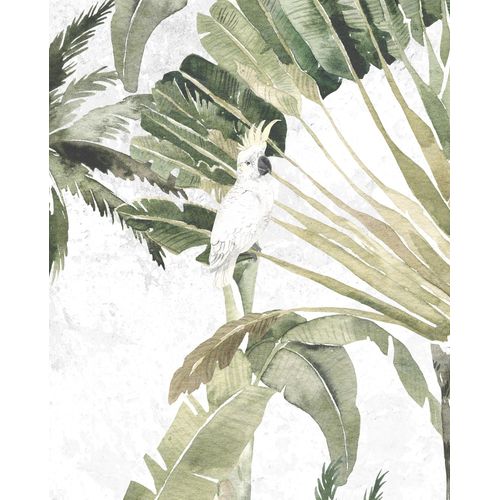 Komar Bild »Oiseau Cacadoo«, Natur, (1 St.), Wandbild zur Dekoration - ohne Rahmen