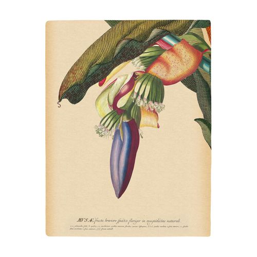 Komar Bild »Banana Heart«, Natur, (1 St.), Wandbild zur Dekoration - ohne Rahmen