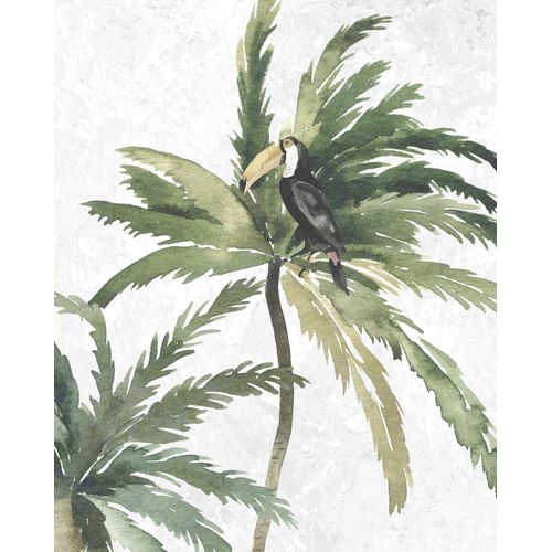 Komar Bild »Tropical Toucan«, Natur, (1 St.), Wandbild zur Dekoration - ohne Rahmen