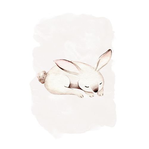 Komar Bild »Sleepy Bunny«, Natur, (1 St.), Wandbild zur Dekoration - ohne Rahmen