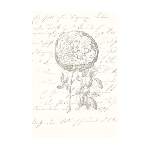 Komar Bild »Ma Chérie«, Natur, (1 St.), Wandbild zur Dekoration - ohne Rahmen