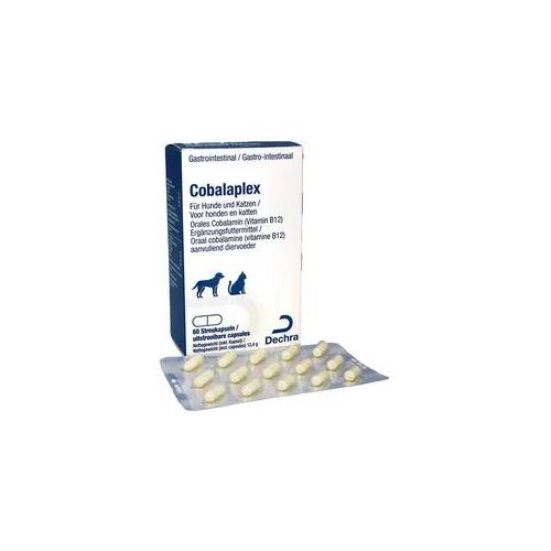 Dechra Cobalaplex Kapseln 60 Stück