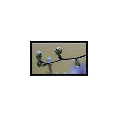 MEDIUM Frame Budget type D - Leinwand - geeignet für Wandmontage - 300 cm (118