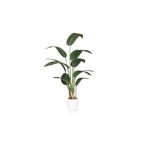 hjh OFFICE Kunstpflanze STRELITZIA Kunststoff