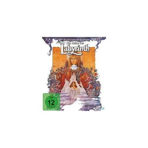 Die Reise ins Labyrinth (Blu-ray)