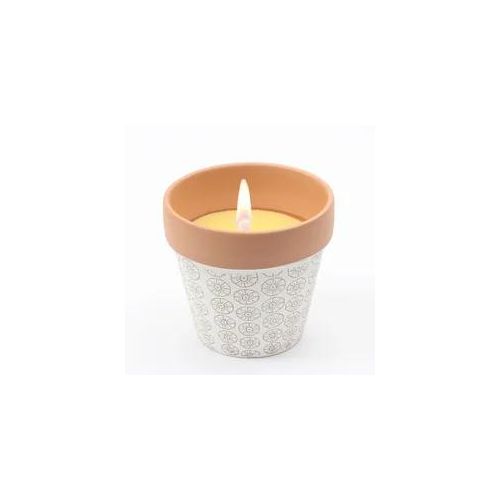 Duftkerze CITRONELLA - Echtwachs in Tontopf - H: 10cm - gegen Stechmücken - beige