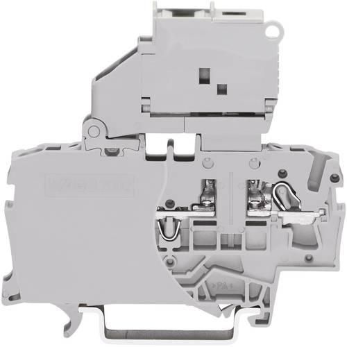 WAGO 2002-1611 Sicherungsklemme 6.20 mm Zugfeder Belegung: L Grau 1 St.