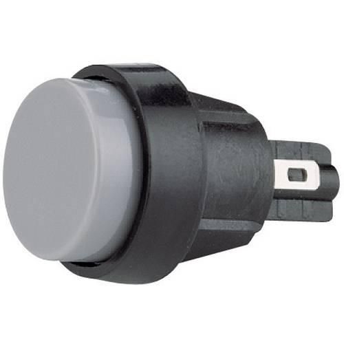 Marquardt 5000.0101 5000.0101 Drucktaster 250 V/AC 4 A 1 x Aus/(Ein) tastend (Ø) 20 mm IP40 1 St.