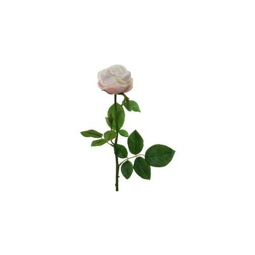 Rose am Stiel - Kunstblume - Real Touch Oberfläche - H: 66cm - beige/creme