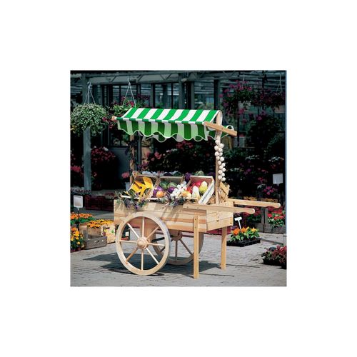 Promadino Marktwagen mit Baldachin weiß/grün