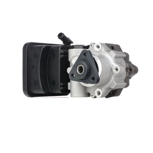 RIDEX Hydraulikpumpe BMW 12H0176 6760956,6783431,32416760956 32416783431