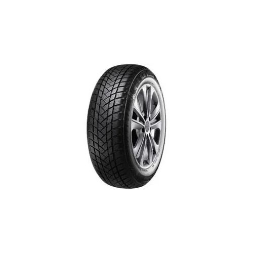 GT RADIAL [GT Radial] 185/60R14 82T - WinterPro2 Winterreifen 100A4928