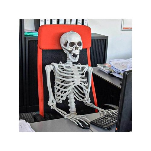 Mikamax Skelett - Realistisch - 170 cm - Halloween-Dekoration