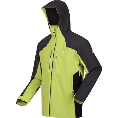 Regatta Raddick GrnAlg/SlGry XXL