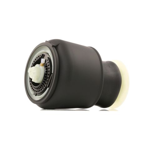 RIDEX Luftfeder, Fahrwerk BMW 4119A0018 37106784379,6784380,37106781827 37106781828,37106784378,37126784379,6784381,37106784380,37106784381