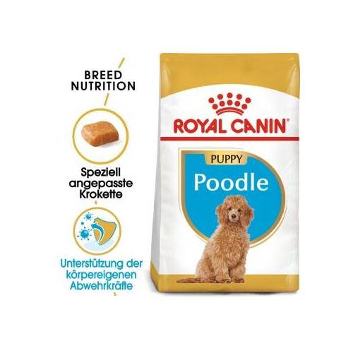 ROYAL CANIN BHN Poodle Puppy 3kg