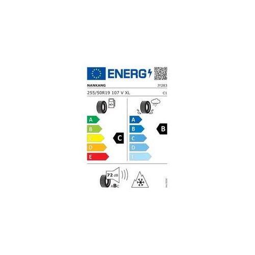 Nankang - Reifen 255/50R19 107V Winter Activa SV-3 Winterreifen JY283