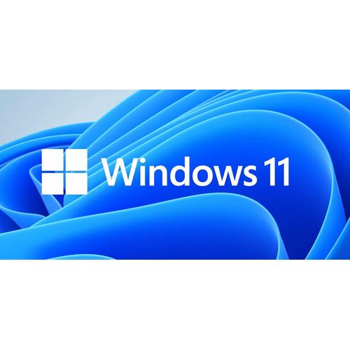 MS Windows 11 Professional 64-bit Slowakisch 1pk OEM DVD