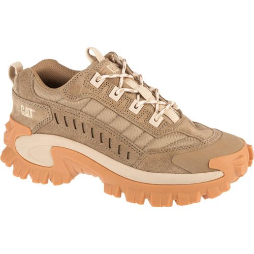 Schuhe Caterpillar Intruder P726245