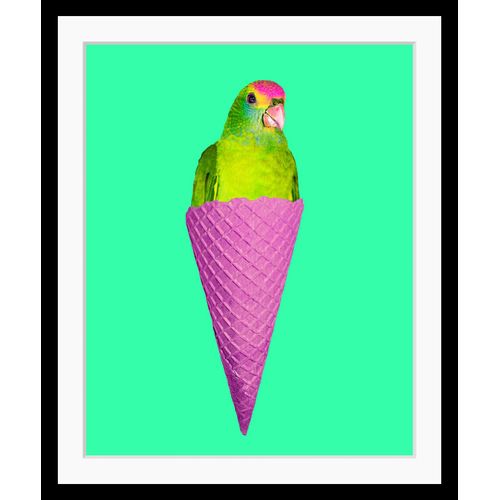 queence Bild »Merle«, Eis-Vögel-Vogelbilder-Süssigkeiten-Süssspeisen-Foto-Kunst-Papageien, HD Premium Poster-Druck inkl. Holzrahmen