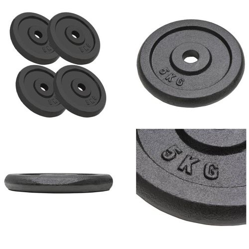 vidaXL Hantelscheiben 4 Stk. 4x5 kg Gusseisen - Hantelscheibe - Hantelscheiben - Gewichtsscheibe - Gewichtsscheiben